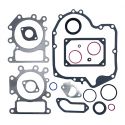 Zestaw uszczelek B&S Intek 15HP - 19HP