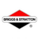 Części do silników Briggs&Stratton